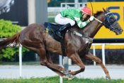 Full Toss<br>Photo by Singapore Turf Club